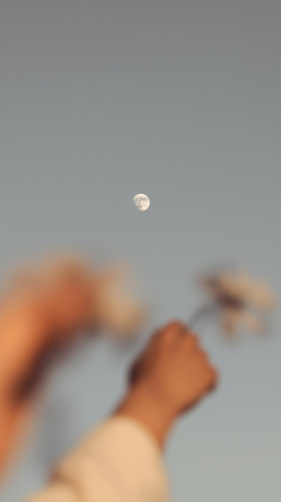 Living With the Moon: A Journal Through This Year’s New & Full Moons